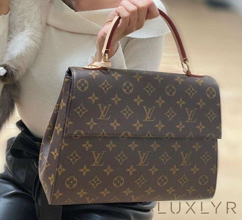 Túi xách Louis Vuitton Cluny