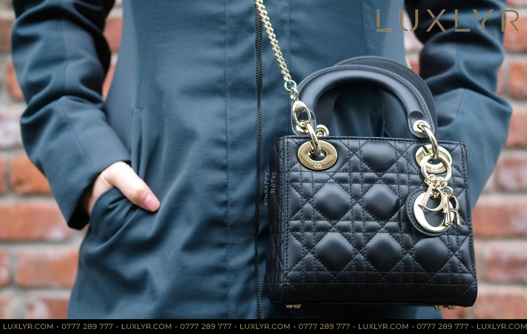 Túi xách Lady Dior Bag