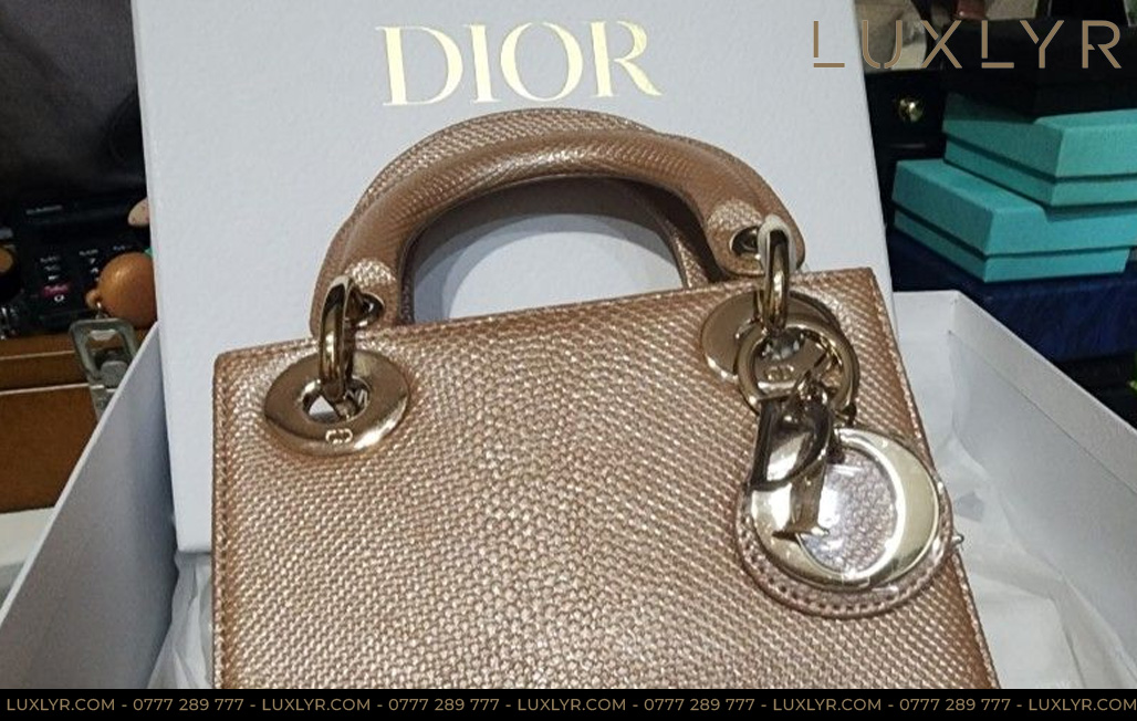 Giới thiệu thương hiệu túi Dior